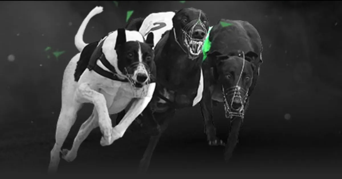 叙利亚古大,家族宅邸揭,中东家族生,中彩网,彩票资讯,彩票平台,在线投注,彩票分析