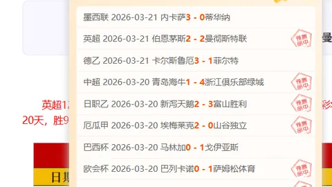 泽尼特大乐透期号专家质合分析推荐前区十码