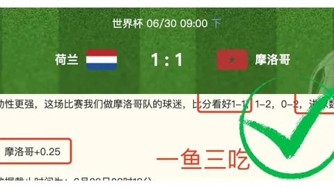 2026欧篮赛事前瞻：法国信心风暴一役成名
